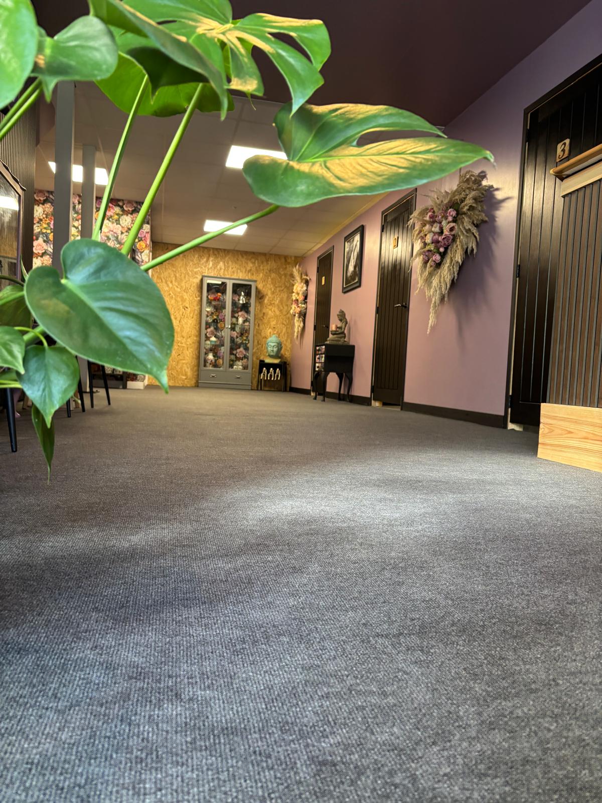 Shadyz Tanning Salon - Westpark, Wellington, Somerset